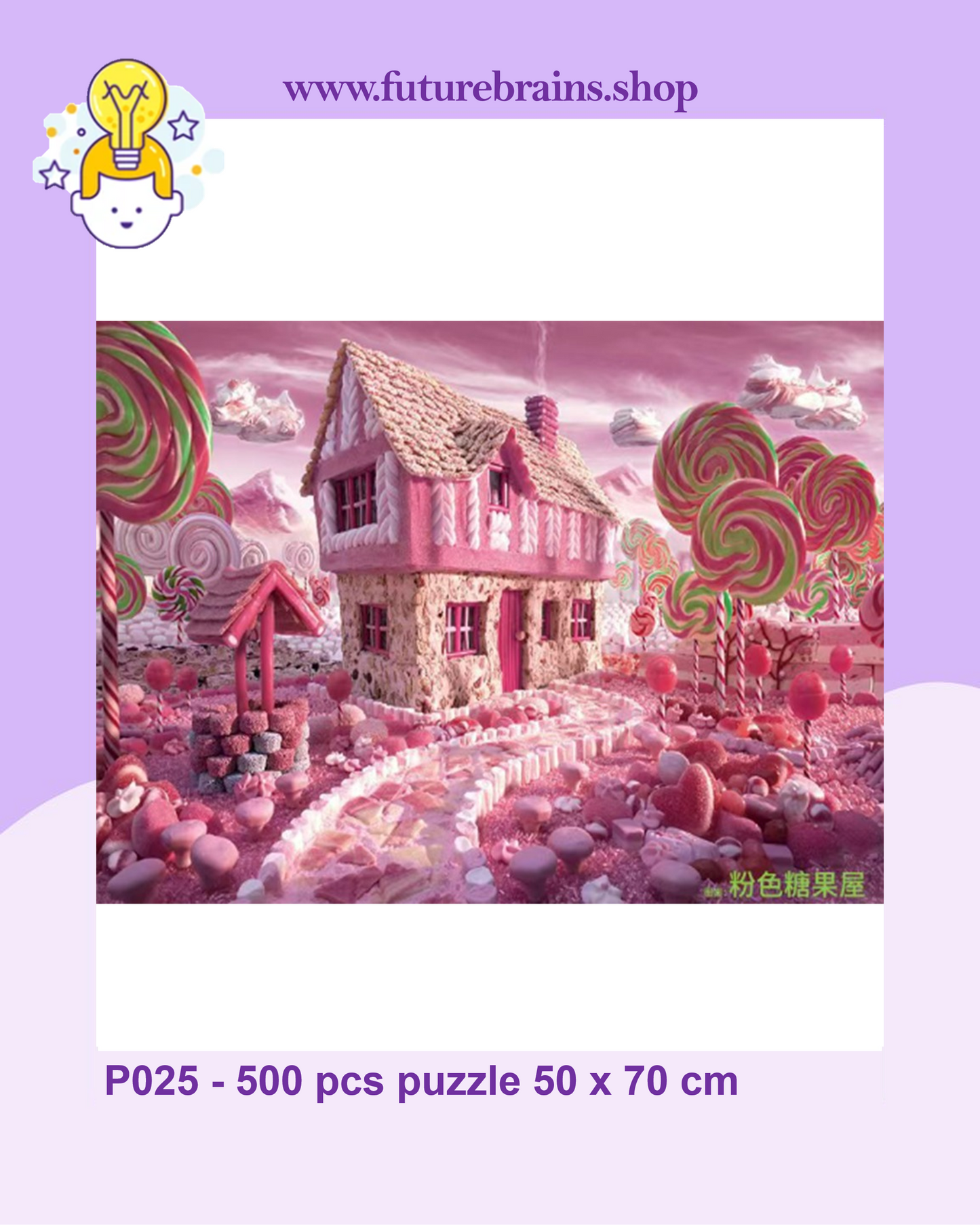 P025 - 500 pcs puzzle 50 x 70 cm