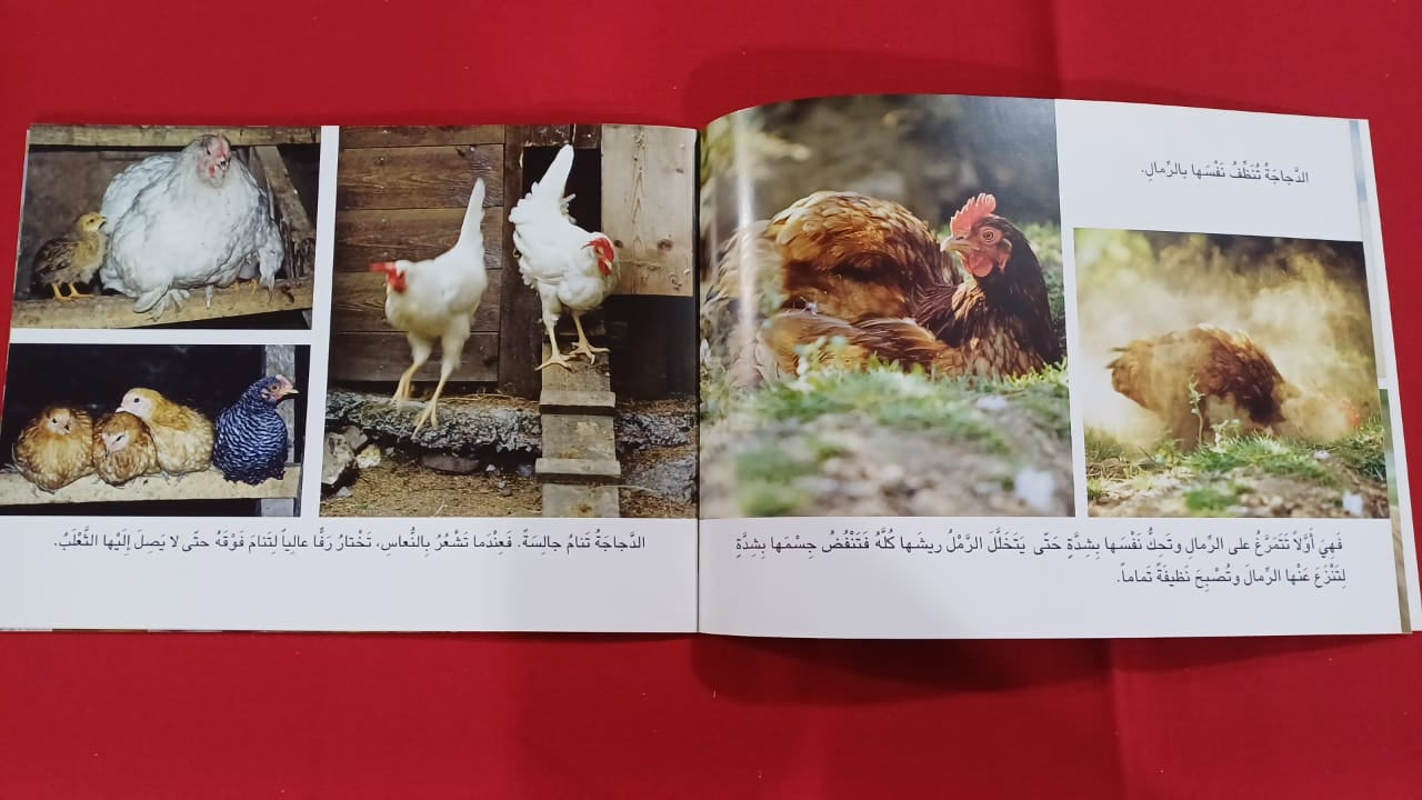 L301 - حيوانات المزرعة