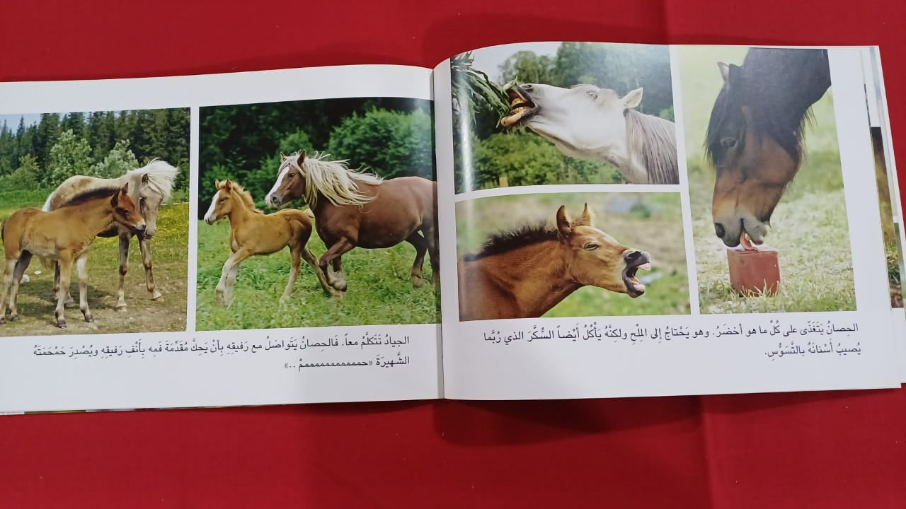 L301 - حيوانات المزرعة