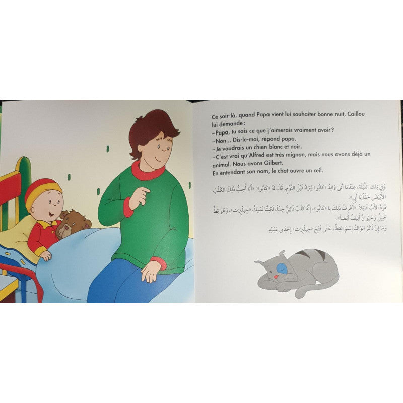 S299 - Serie d'histoires Caillou Francais - Arabe