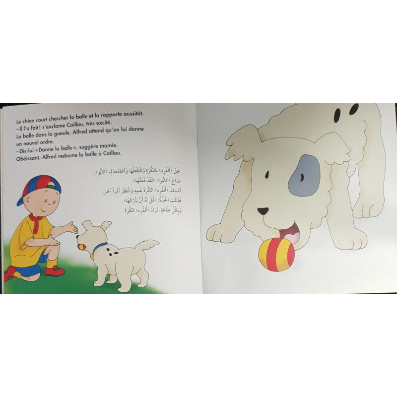 S299 - Serie d'histoires Caillou Francais - Arabe