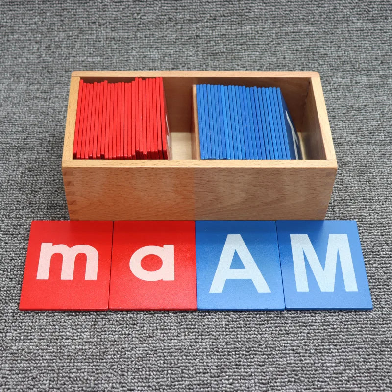Mo006 - Montessori Uppercase and Lowercase sandpaper letters