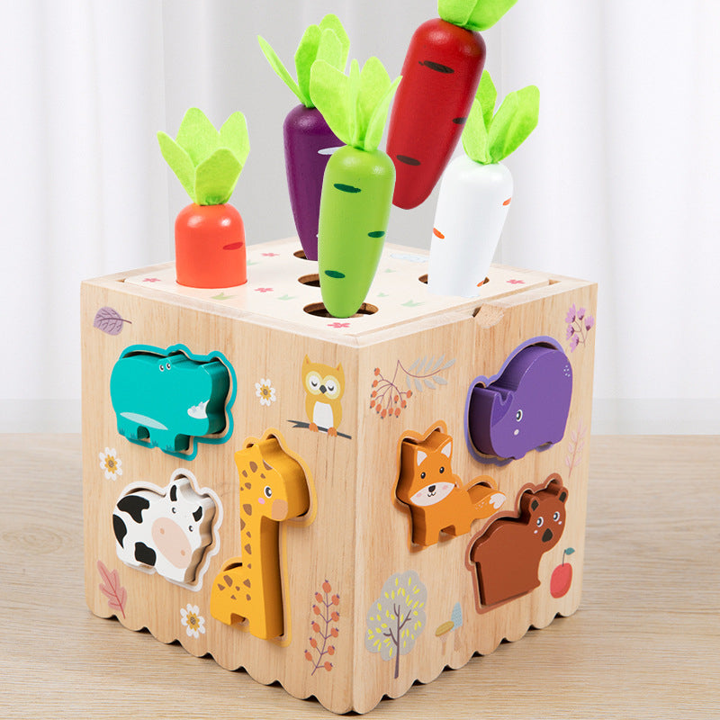 M312 - Multi-function 8 in 1 activity cube