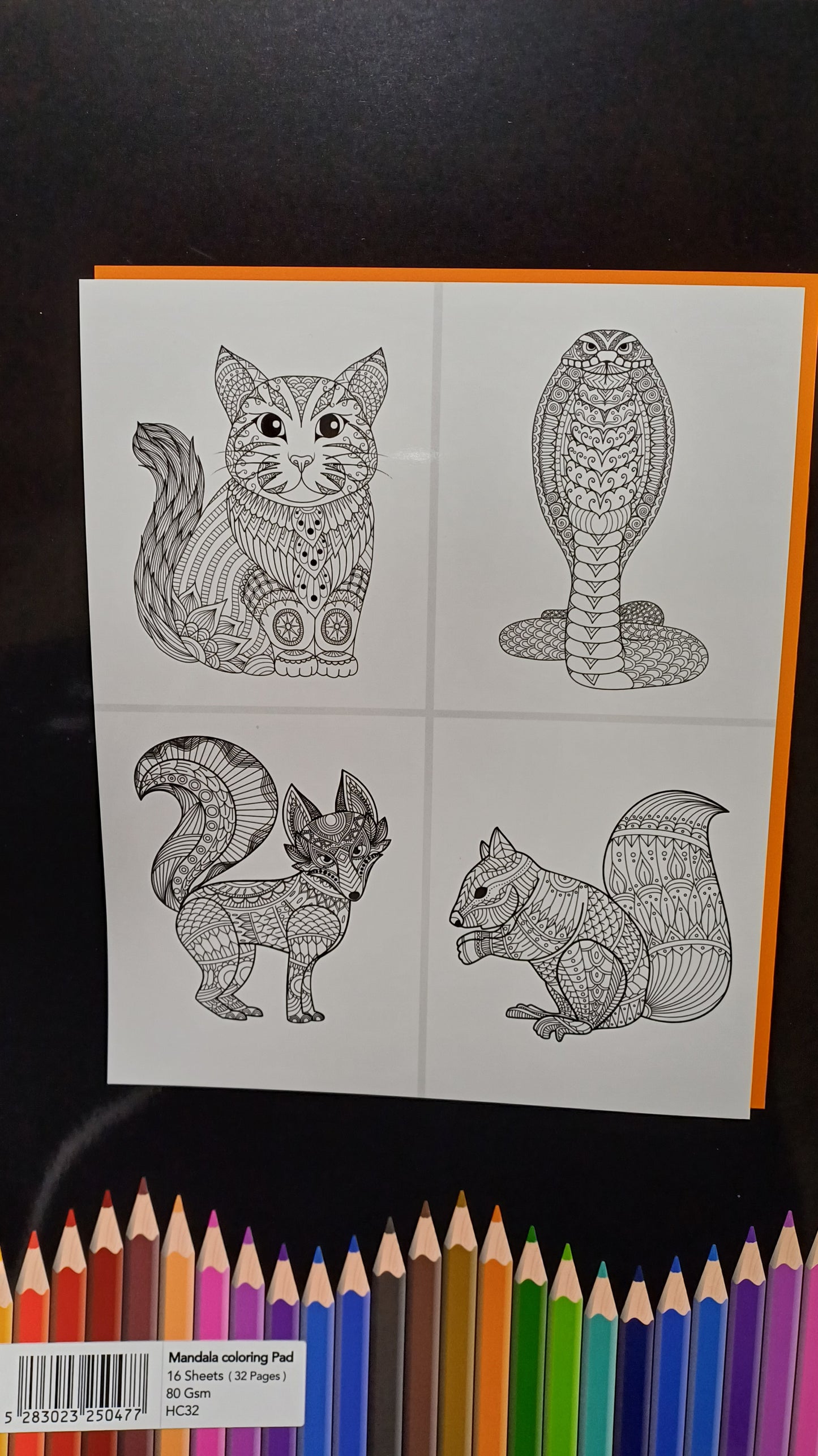 C027 - Animals Mandala coloring book