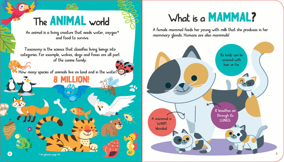 L019 - Junior Encyclopedia Of Animals