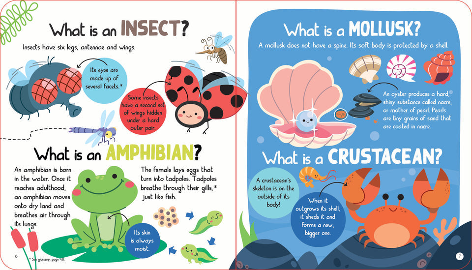 L019 - Junior Encyclopedia Of Animals