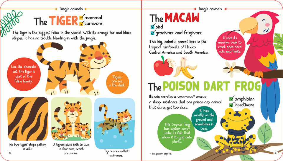 L019 - Junior Encyclopedia Of Animals