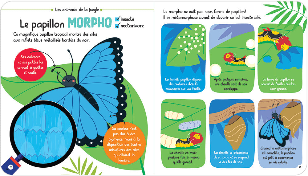 L231 - Mon EncycloPetit Des Animaux