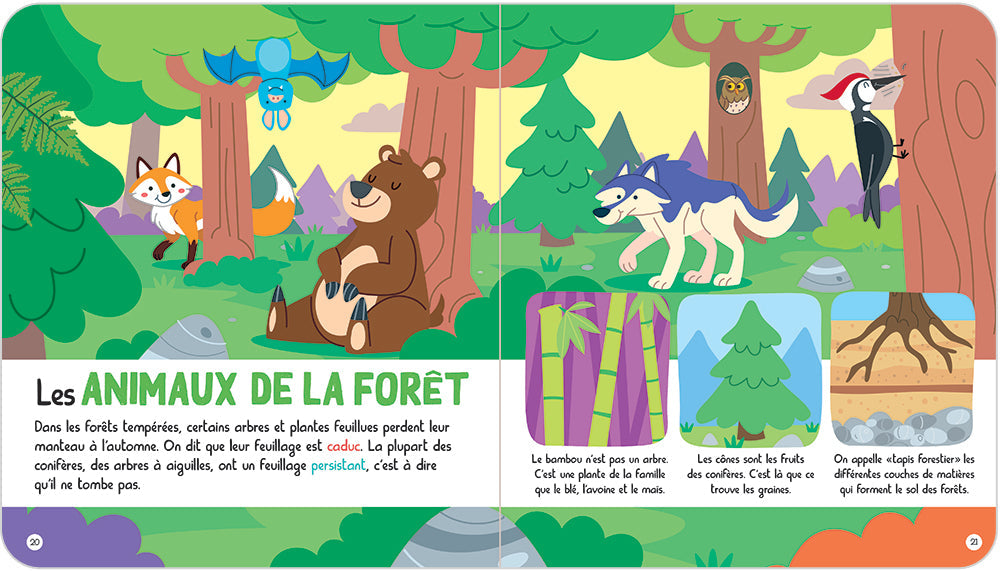 L231 - Mon EncycloPetit Des Animaux