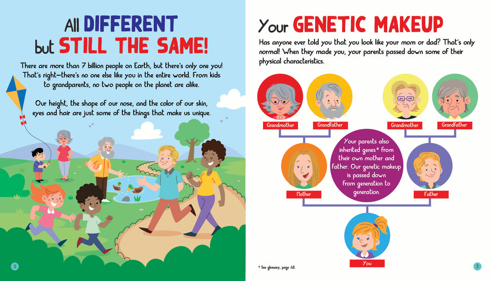 L020 - Junior Encyclopedia Of The Human Body