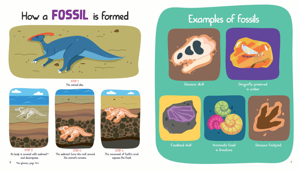 L021 - Junior Encyclopedia Of Dinosaurs