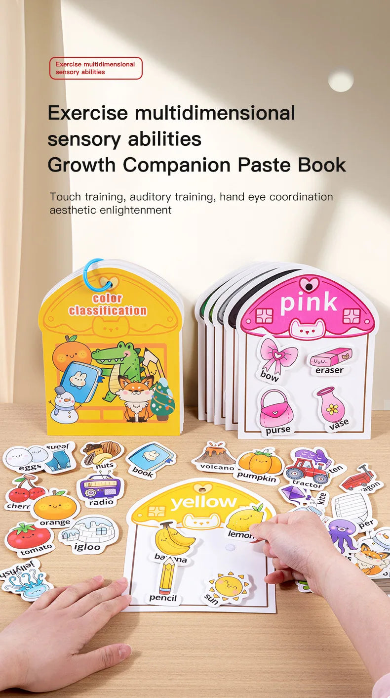 A425 - Color classification (busy book)