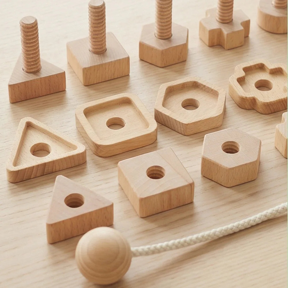 Mo055 - Montessori Shape Matching Large Screw