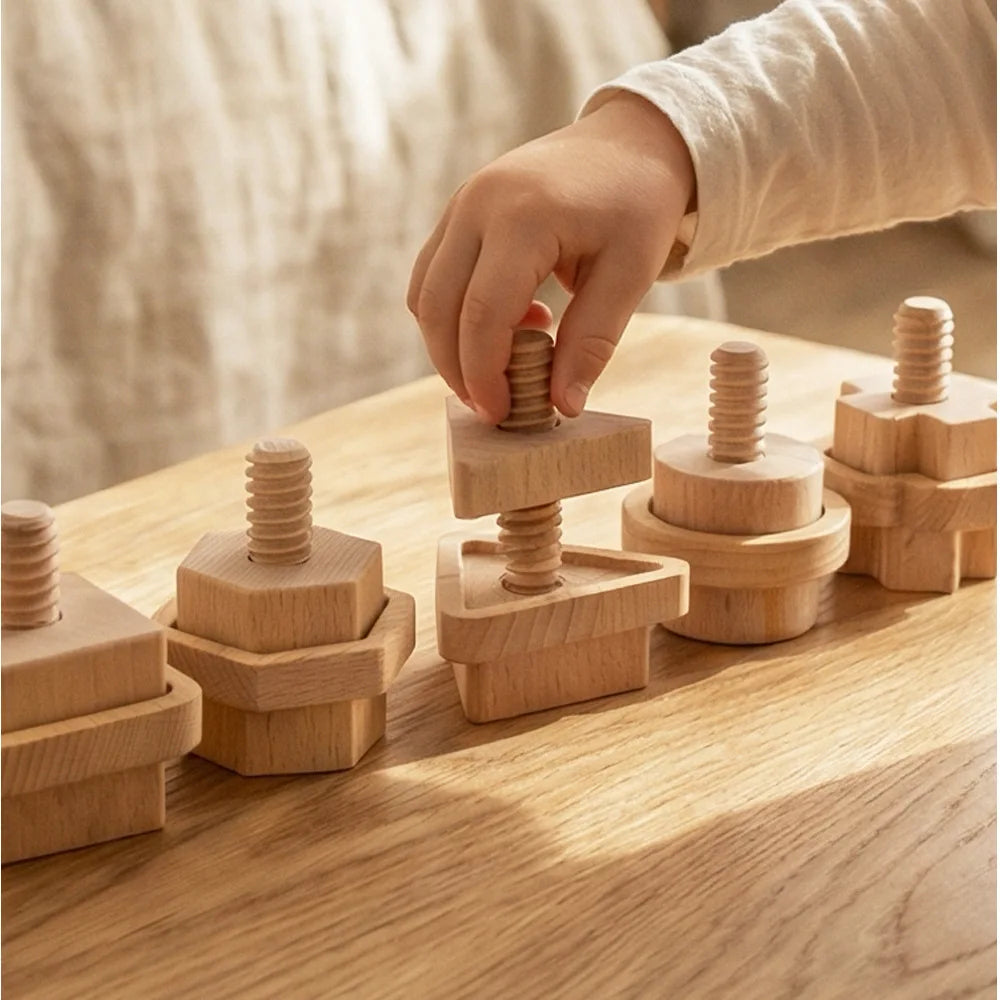 Mo055 - Montessori Shape Matching Large Screw
