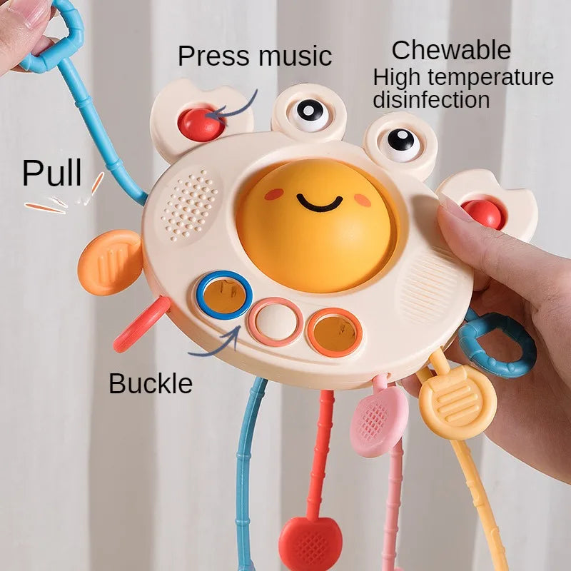 B052 - Baby crab pulling fun