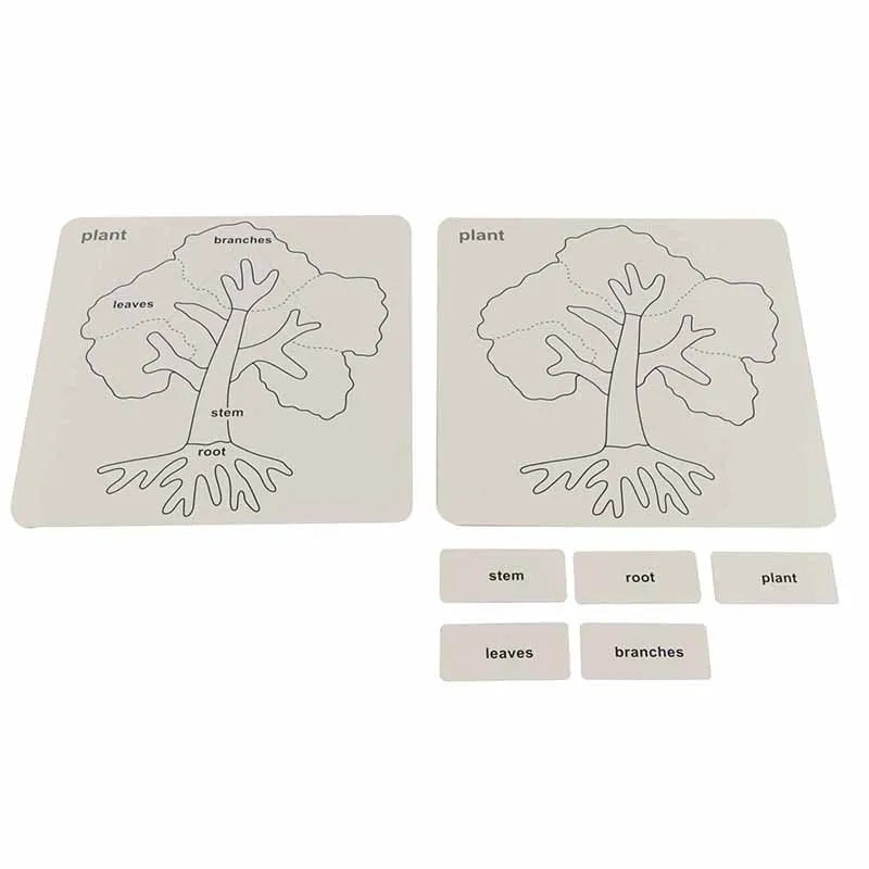 Mo152 - Botany puzzle activity set