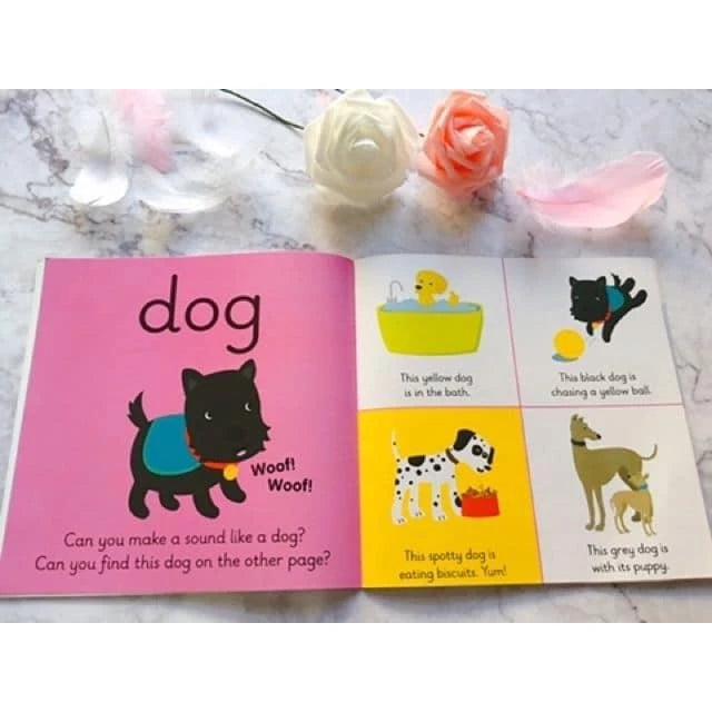 L313 - My first books