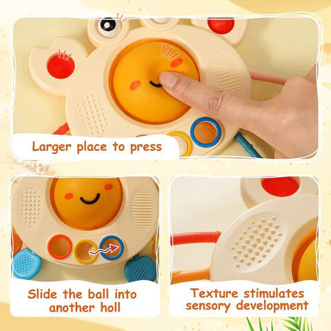 B052 - Baby crab pulling fun