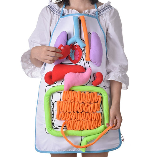 E133 - 3D Human Body Organs Apron