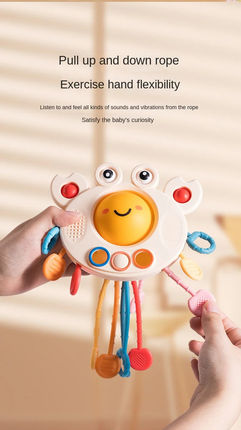 B052 - Baby crab pulling fun