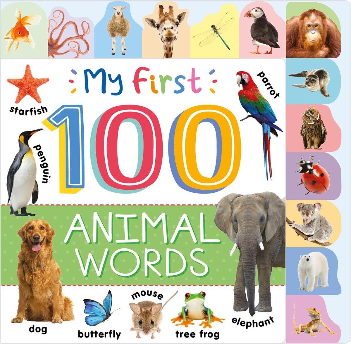 L006 - My First 100 Animal Words