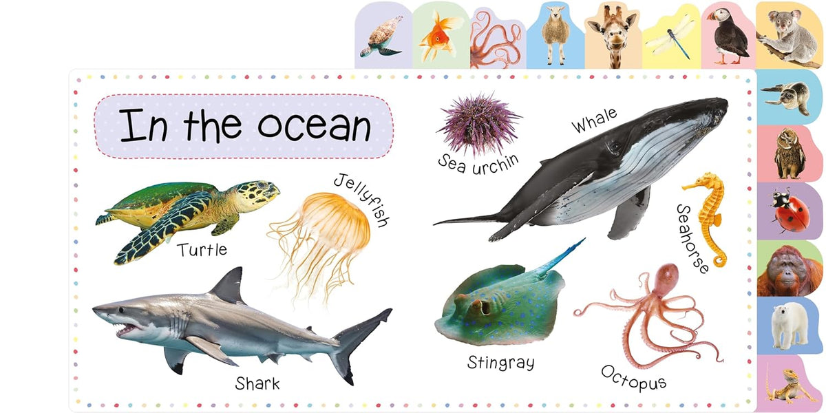 L006 - My First 100 Animal Words