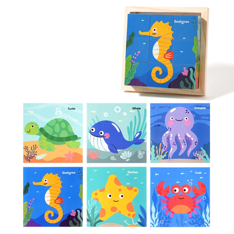 P005 - 6 sided puzzle