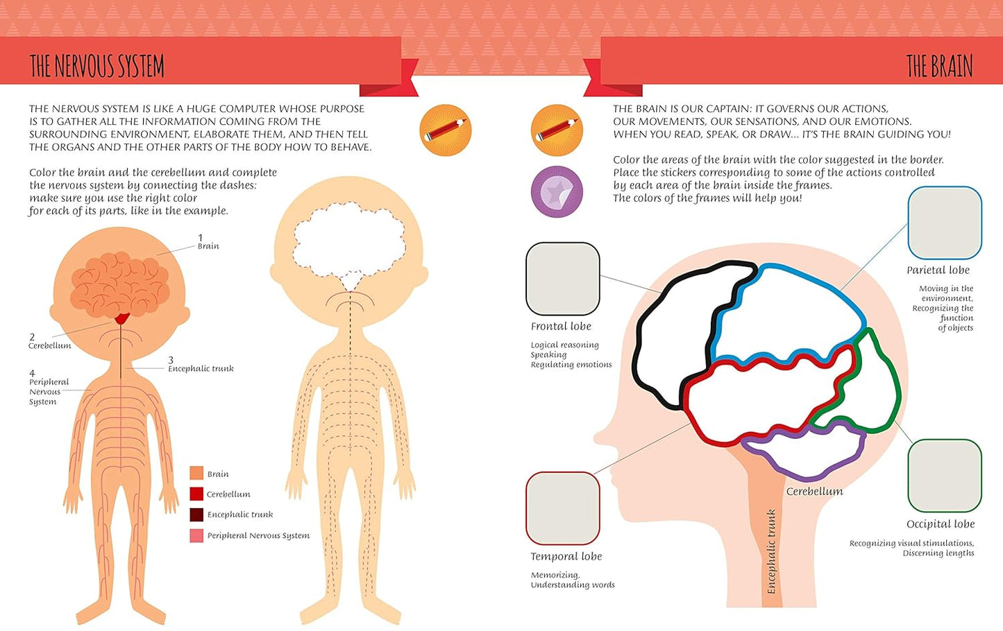 L267 - Montessori : My First Book Of The HUMAN BODY