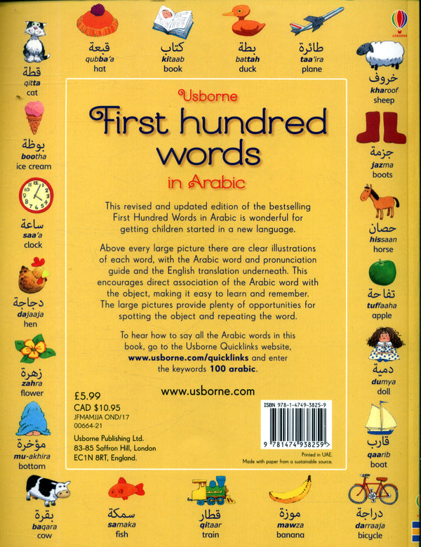L314 - Usborne First Hundred Words in Arabic