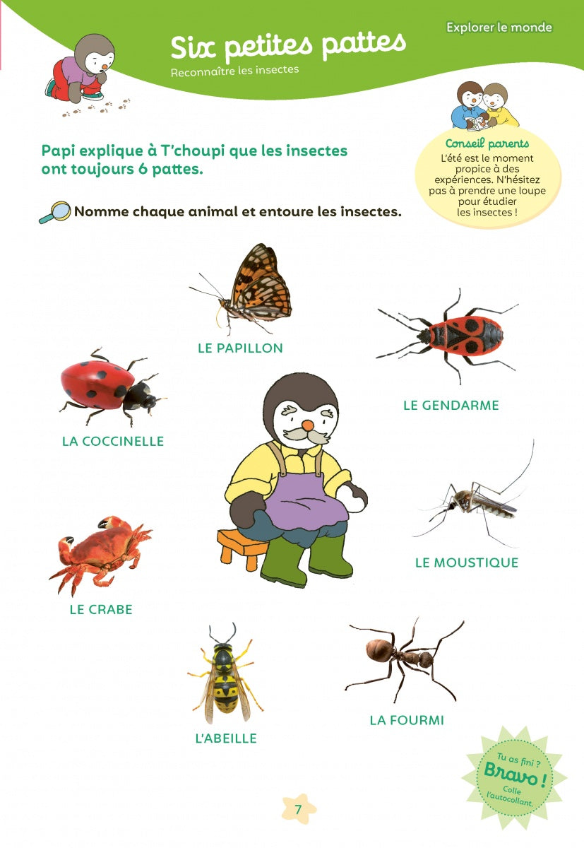 A402 - Mon T'choupi vacances GS vers la CP 5-6 ans