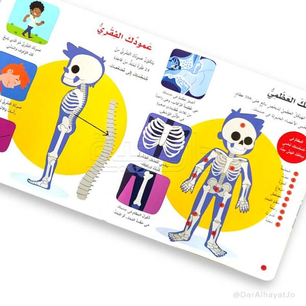 L016 - موسوعة الجسم البشري للمبتدئين