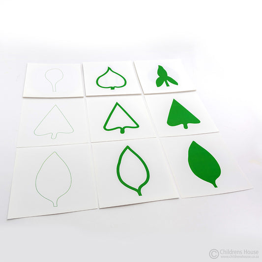 Mo112 - Montessori Leaf Cards for the Botany Cabinet