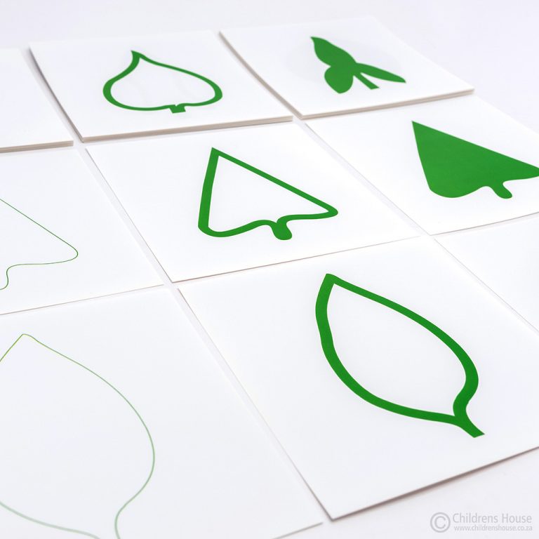 Mo112 - Montessori Leaf Cards for the Botany Cabinet