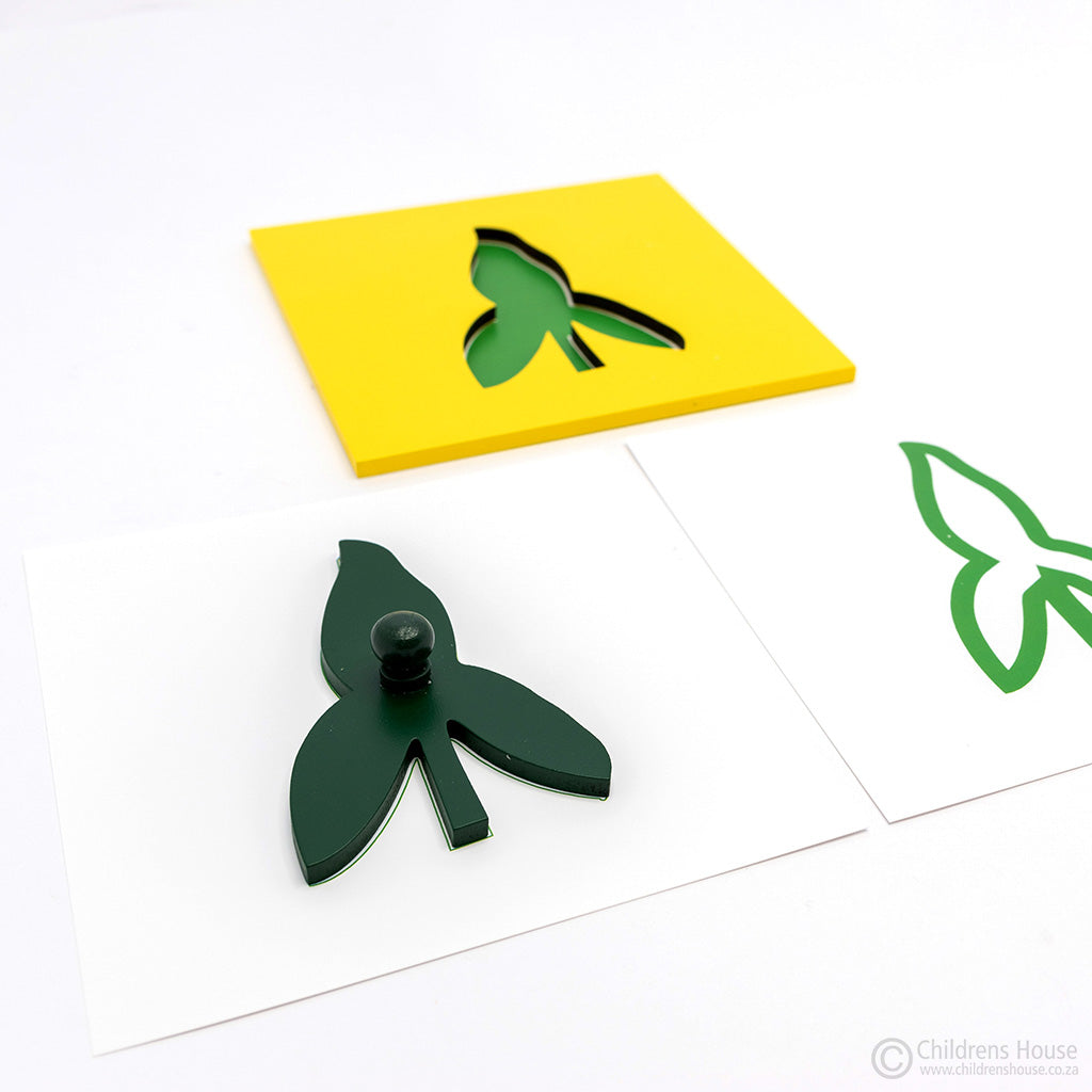 Mo112 - Montessori Leaf Cards for the Botany Cabinet