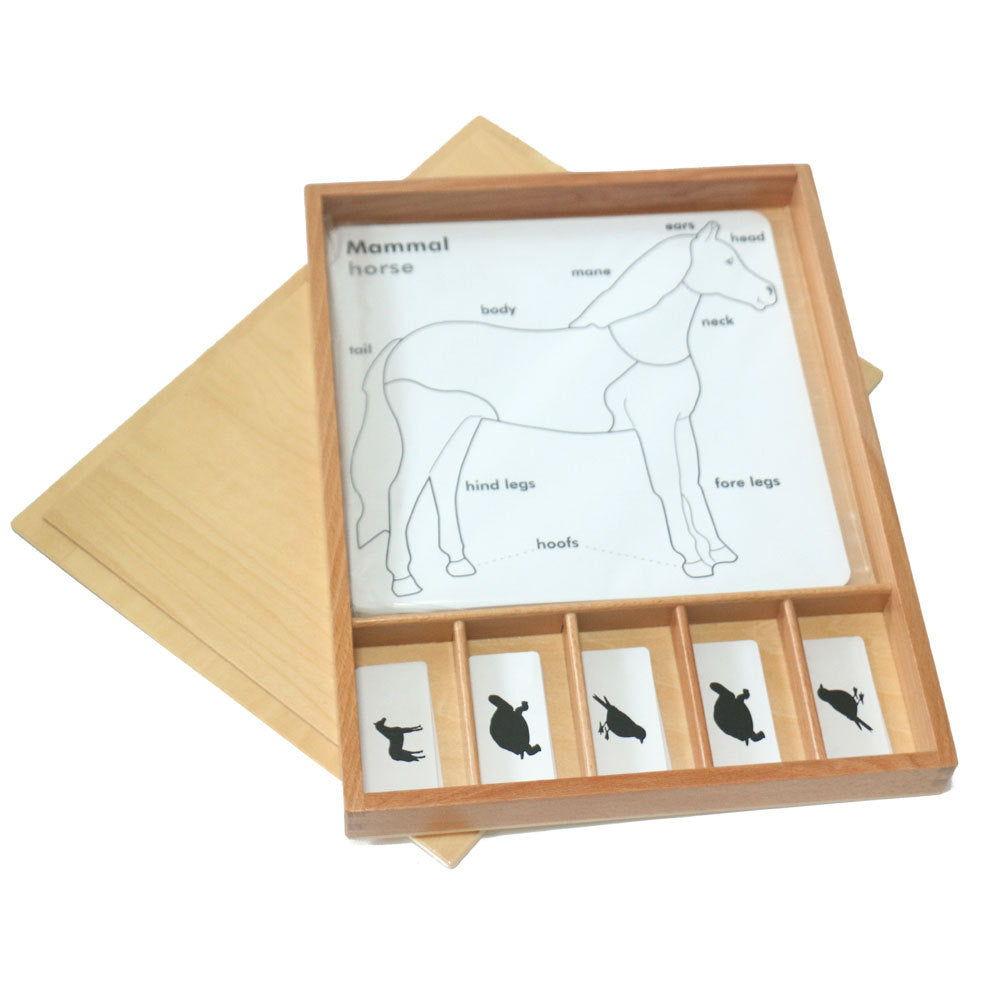 Mo153 - Animal puzzle activity set