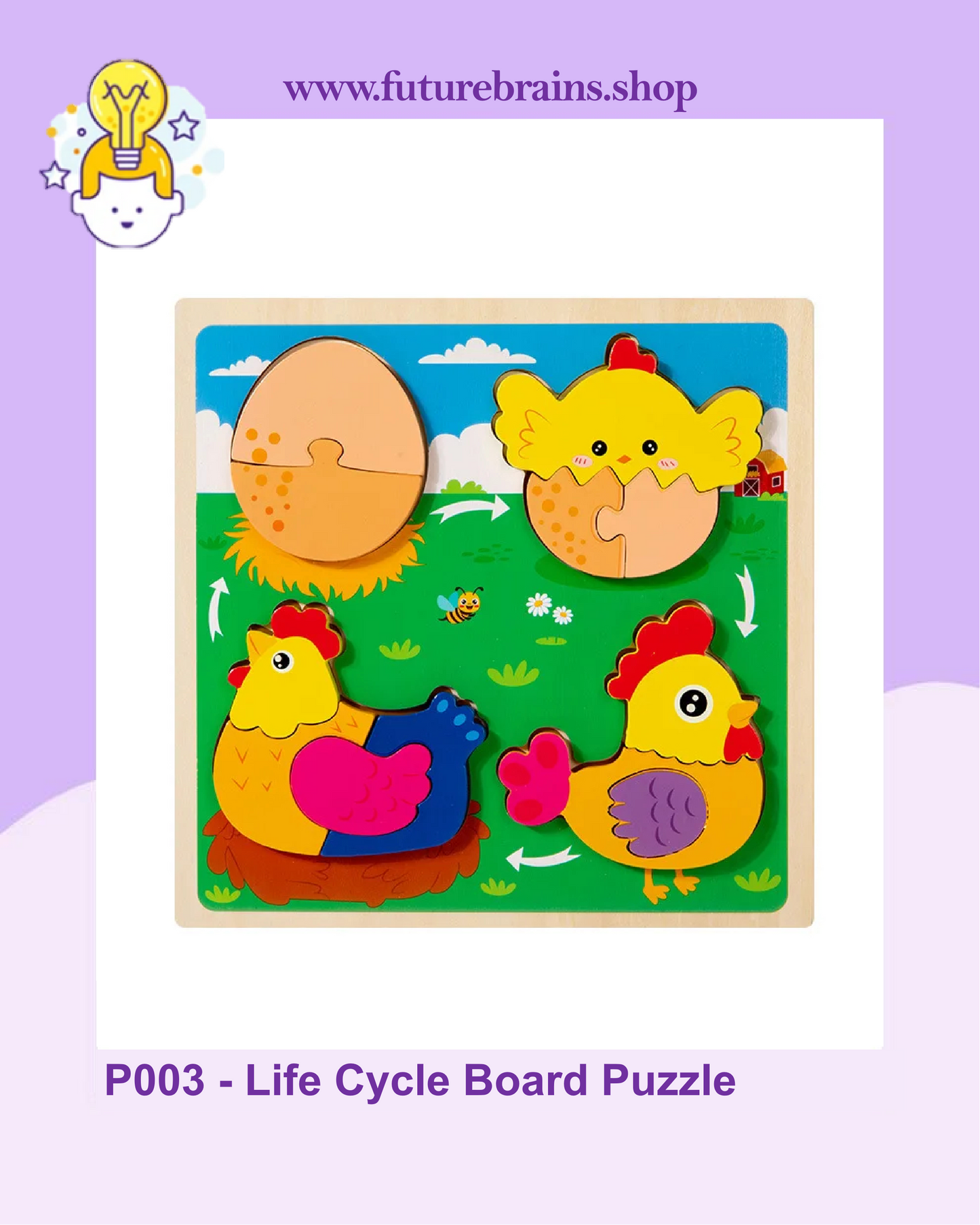 P003 - Life Cycle Board Puzzle