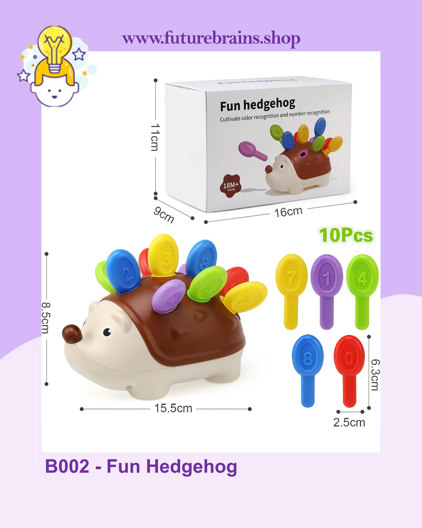 B002 - Fun Hedgehog