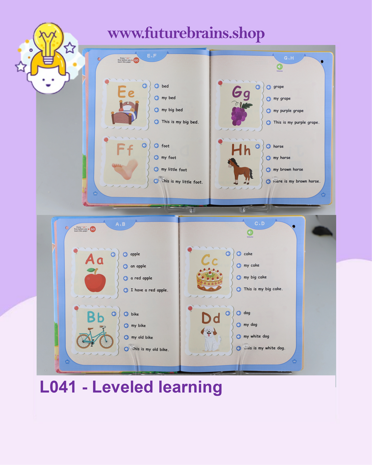L041 - Leveled Reading (Sound Book)