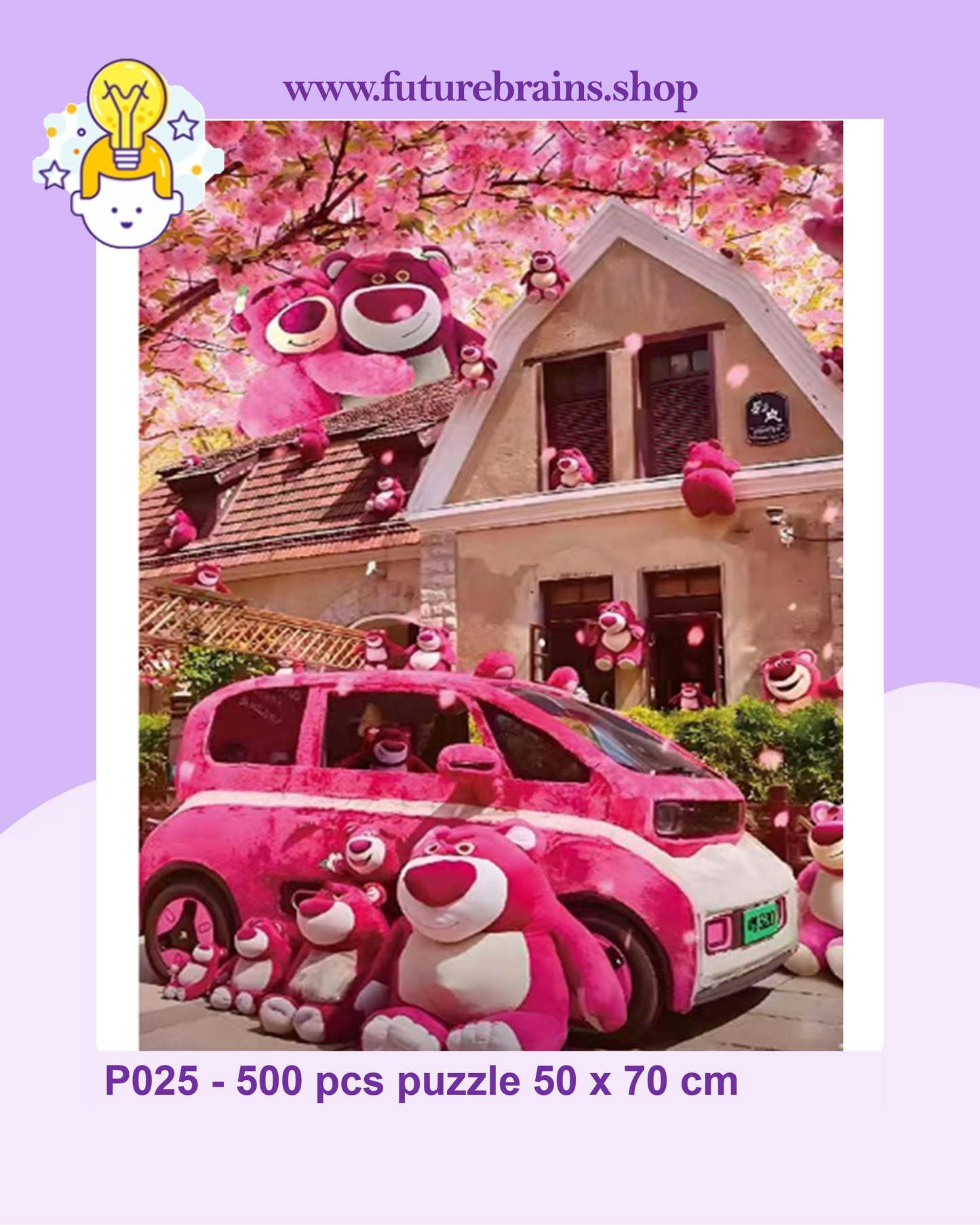 P025 - 500 pcs puzzle 50 x 70 cm