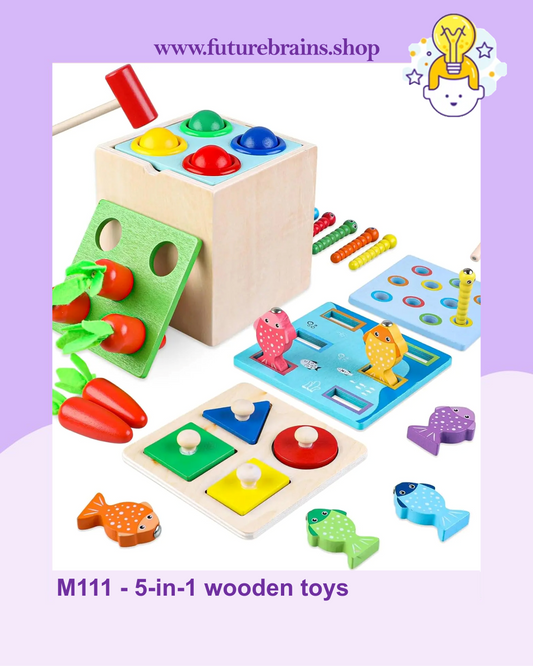 M111 - 5-in-1 wooden toys