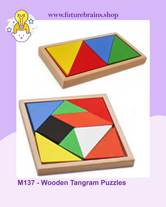 M137 - Wooden Tangram Puzzles - Teaching Aid Combination