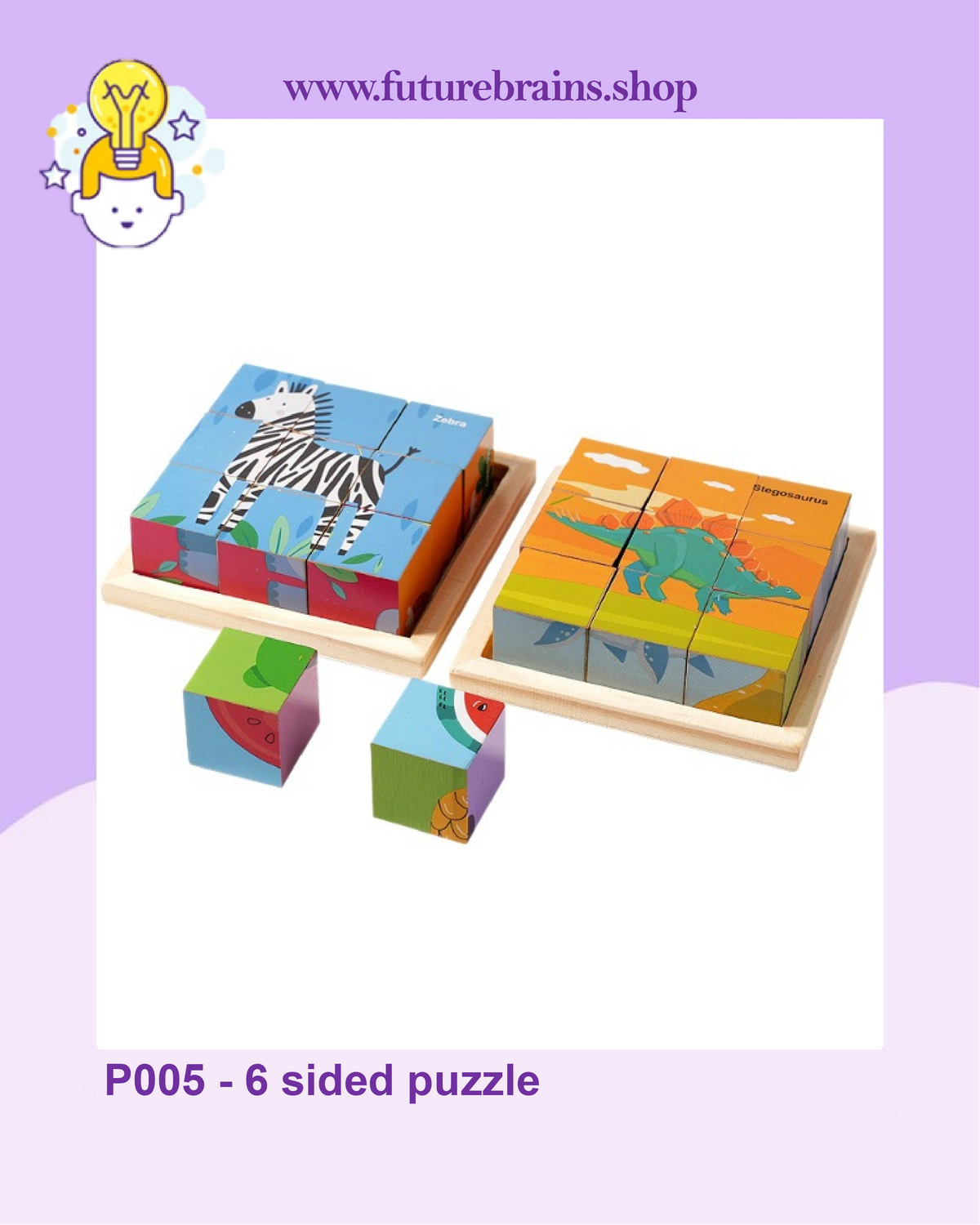 P005 - 6 sided puzzle