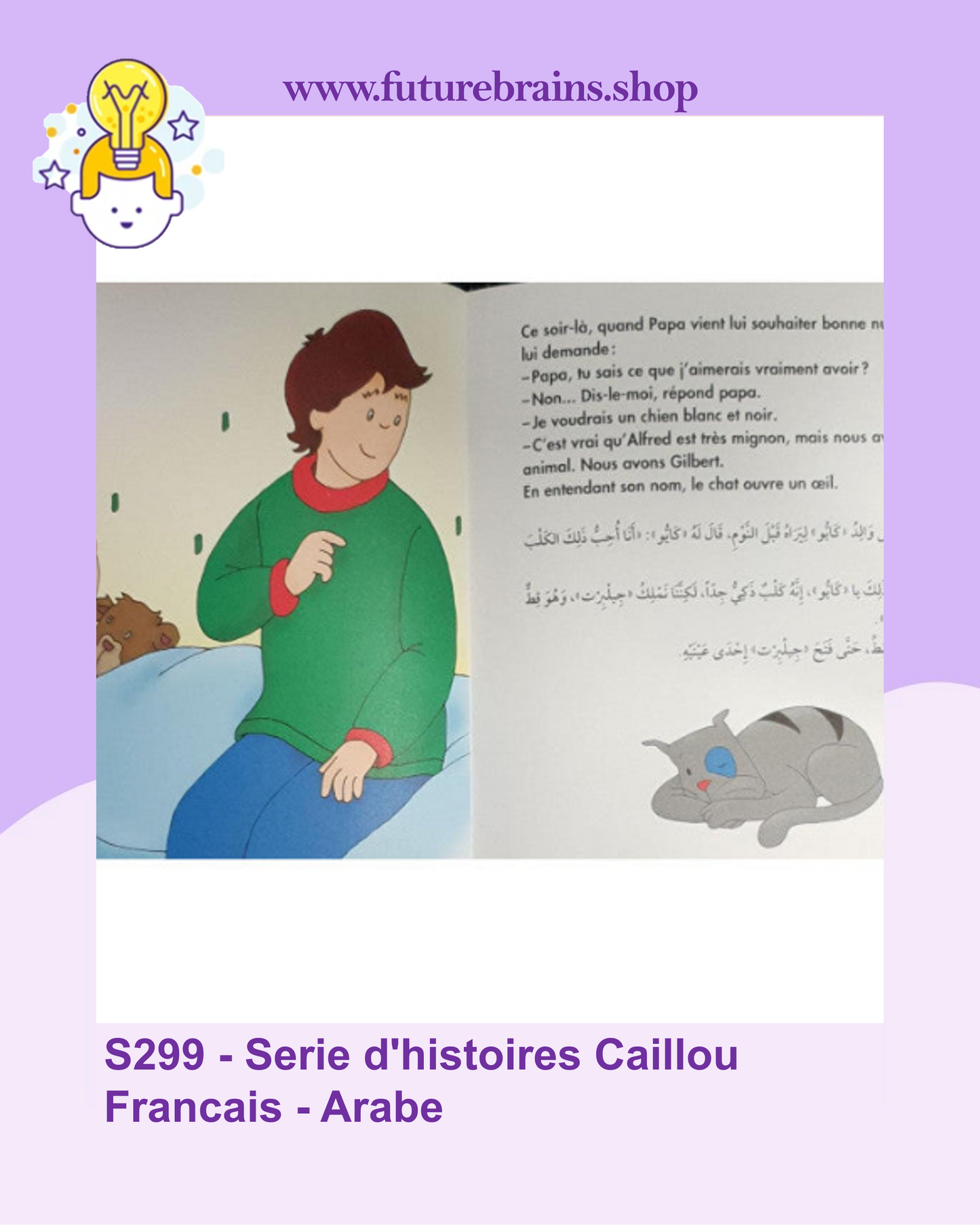 S299 - Serie d'histoires Caillou Francais - Arabe