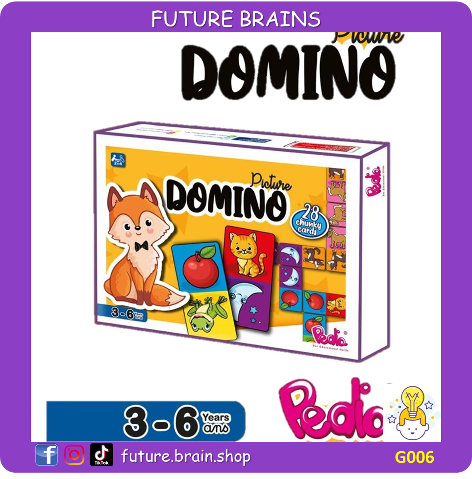 G006 - Picture domino