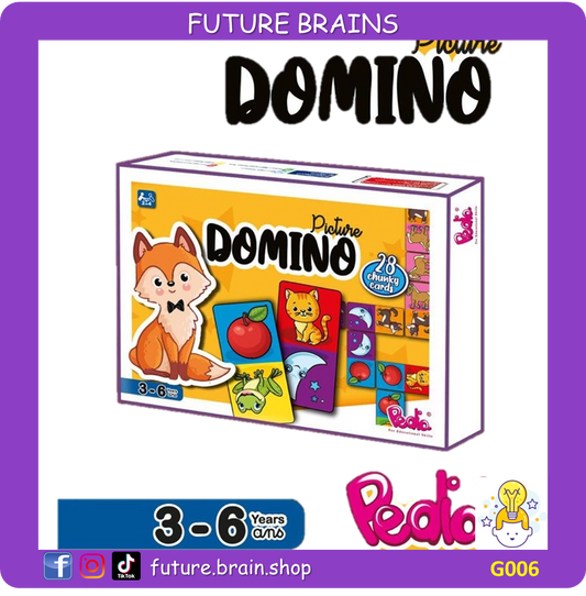 G006 - Picture domino