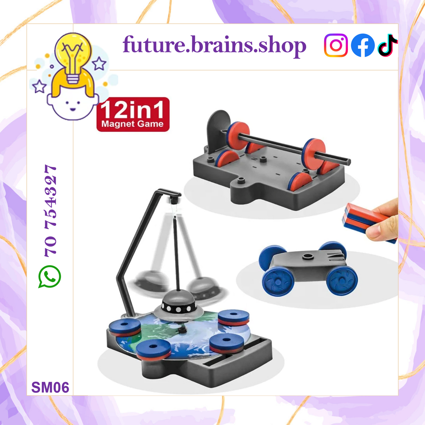 SM06 - STEM magnet science