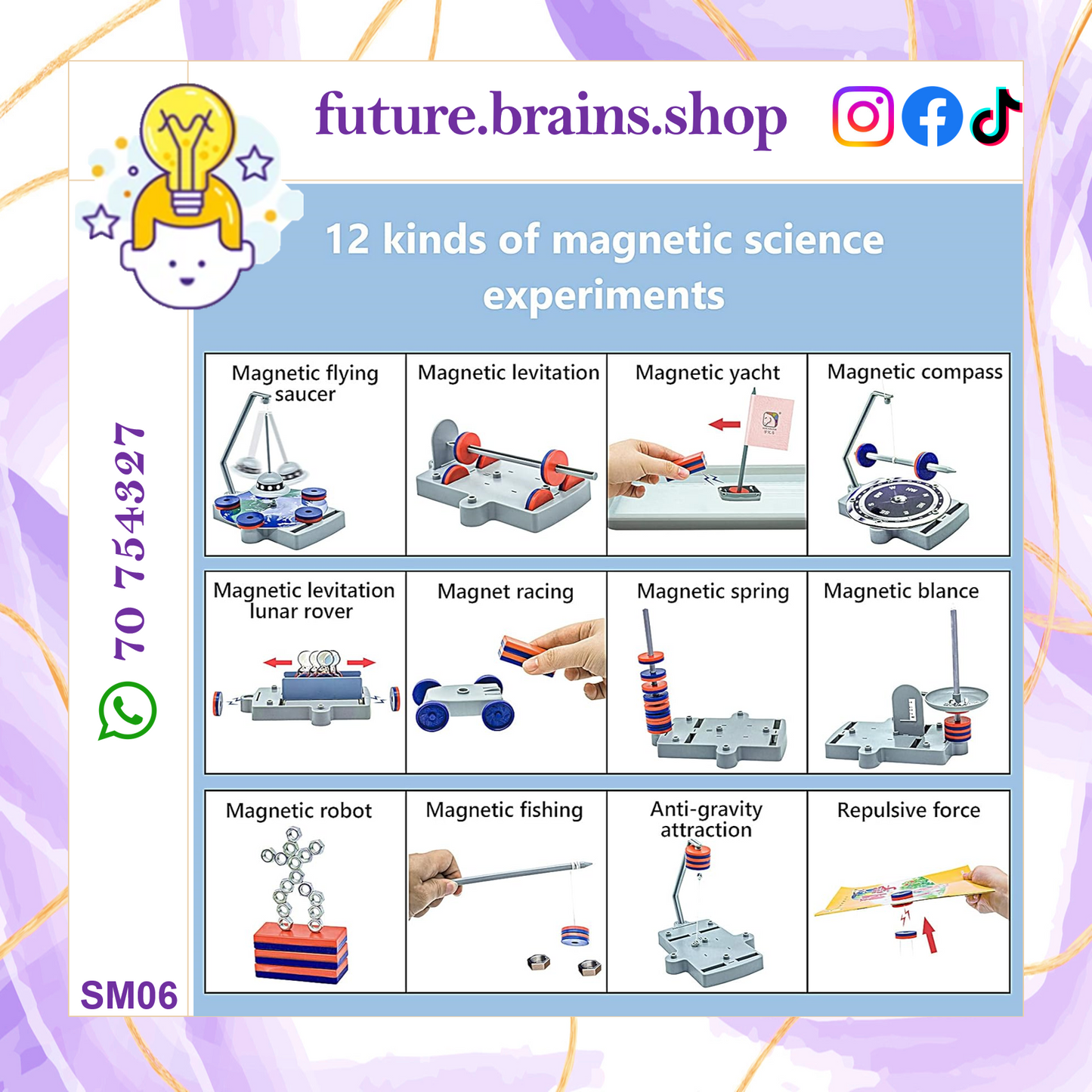 SM06 - STEM magnet science