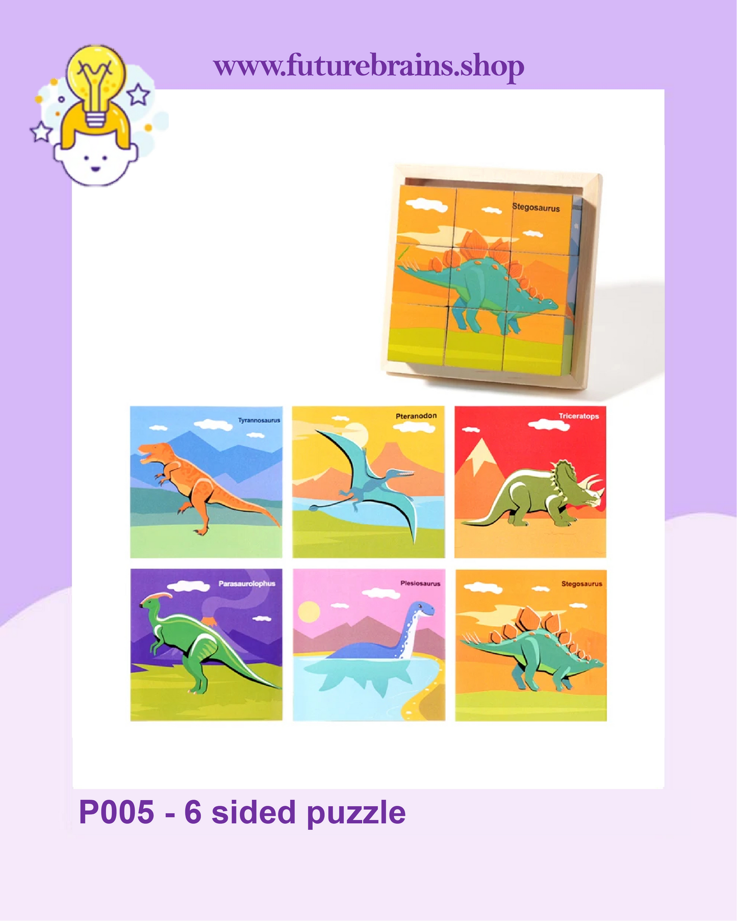 P005 - 6 sided puzzle