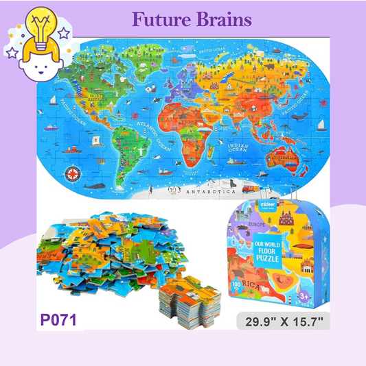 P071 - Our world puzzle