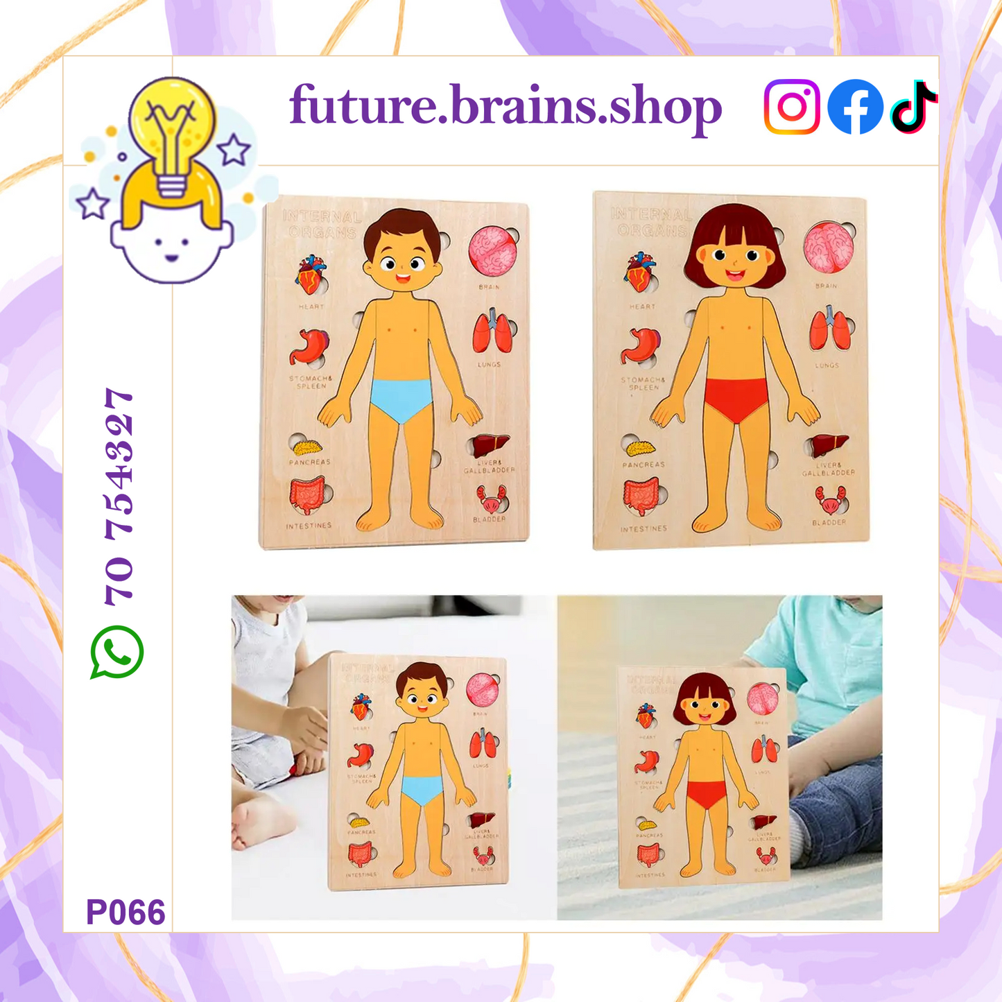 P066 - Human body structure puzzle